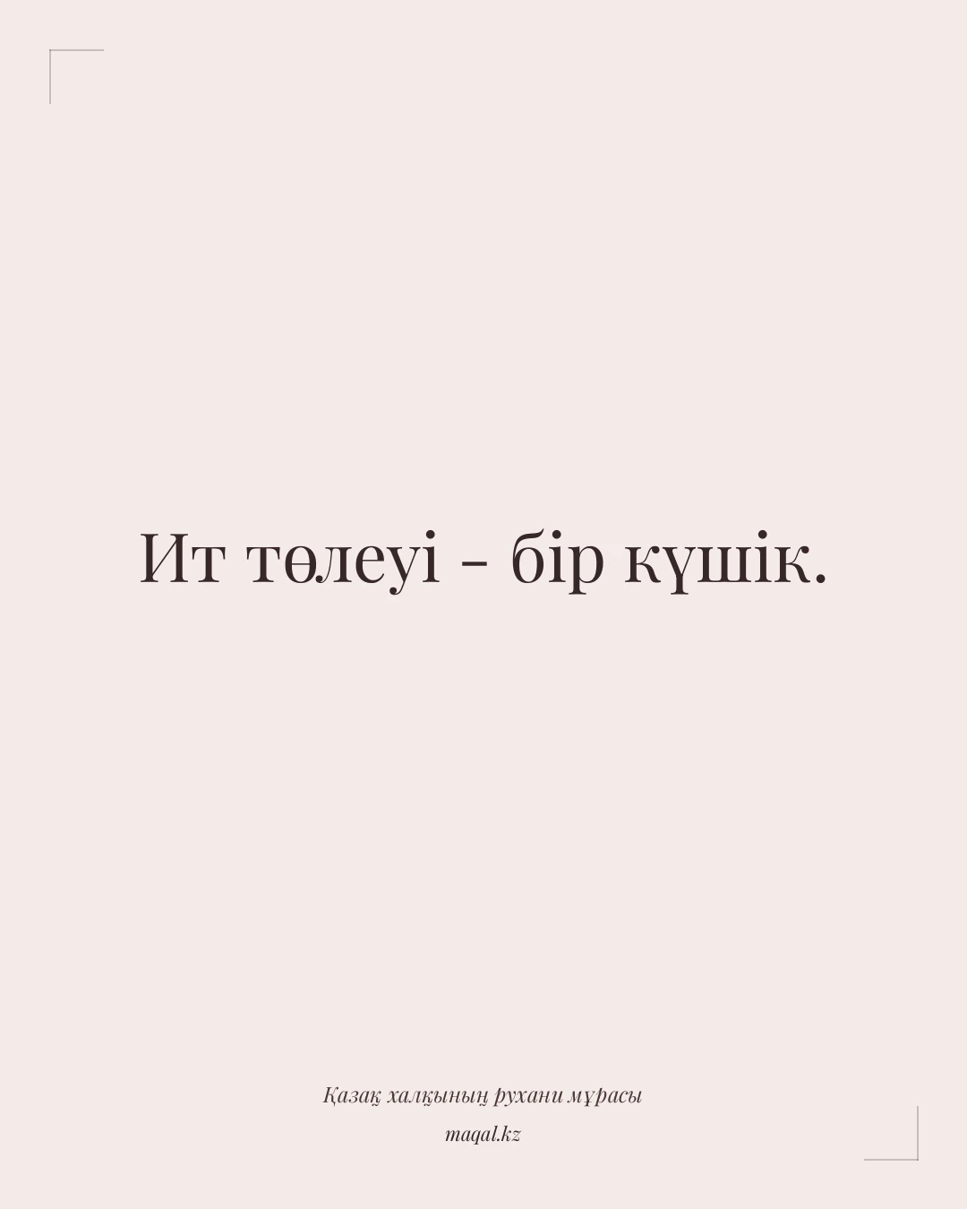 Ит төлеуі - бір күшік. — қазақша мақал