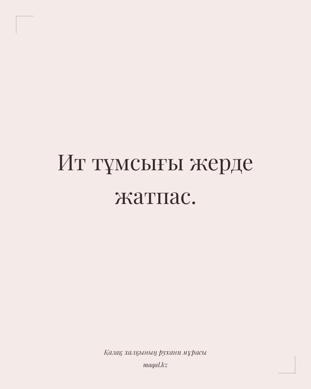 Ит тұмсығы жерде жатпас. — қазақша мақал