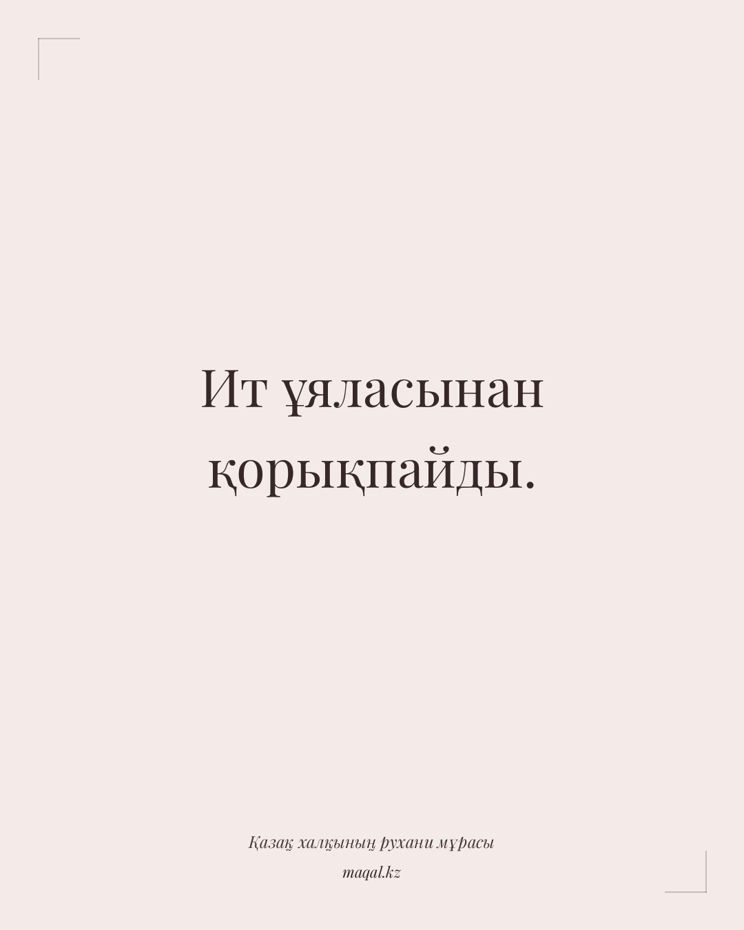 Ит ұяласынан қорықпайды. — қазақша мақал