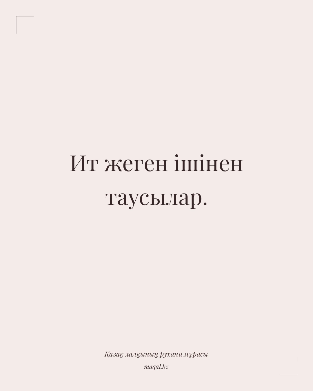 Ит жеген ішінен таусылар. — қазақша мақал
