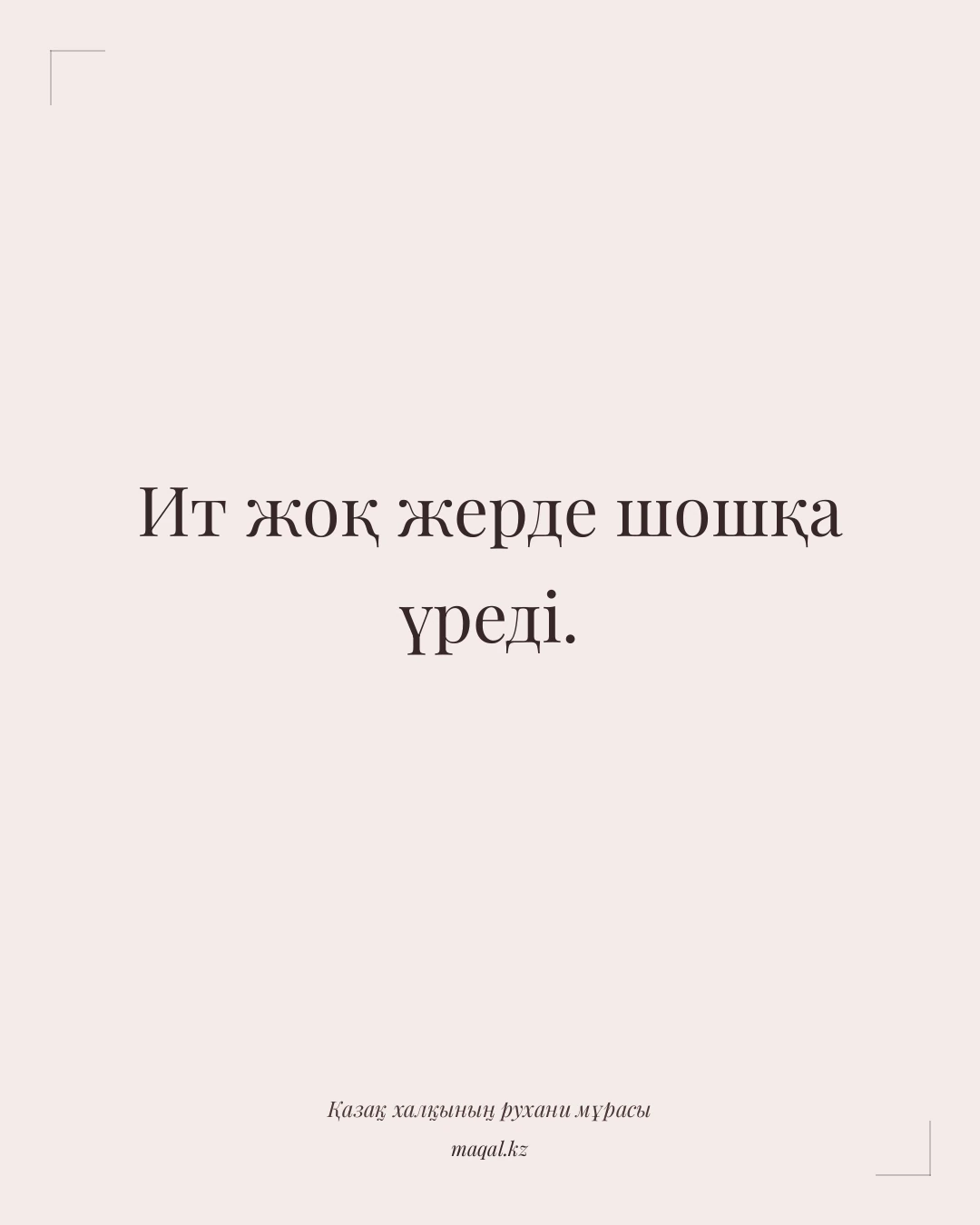 Ит жоқ жерде шошқа үреді. — қазақша мақал