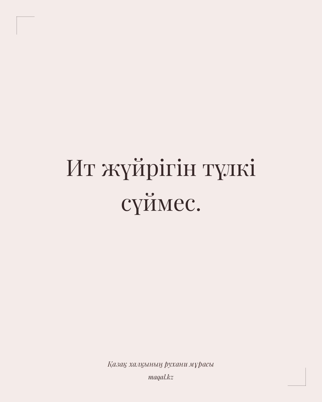 Ит жүйрігін түлкі сүймес. — қазақша мақал