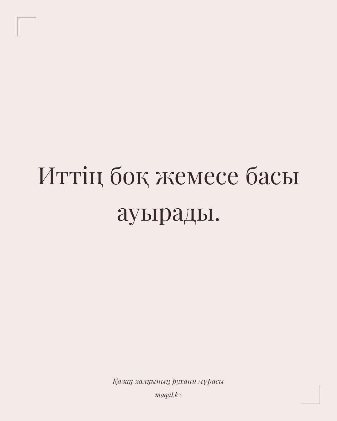Иттің боқ жемесе басы ауырады. — қазақша мақал