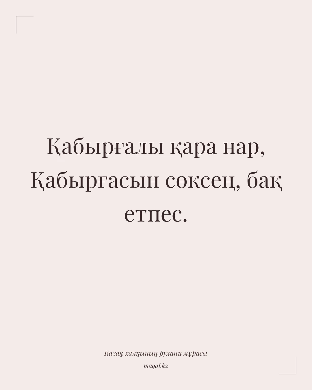 Қабырғалы қара нар, Қабырғасын сөксең, бақ етпес. — қазақша мақал