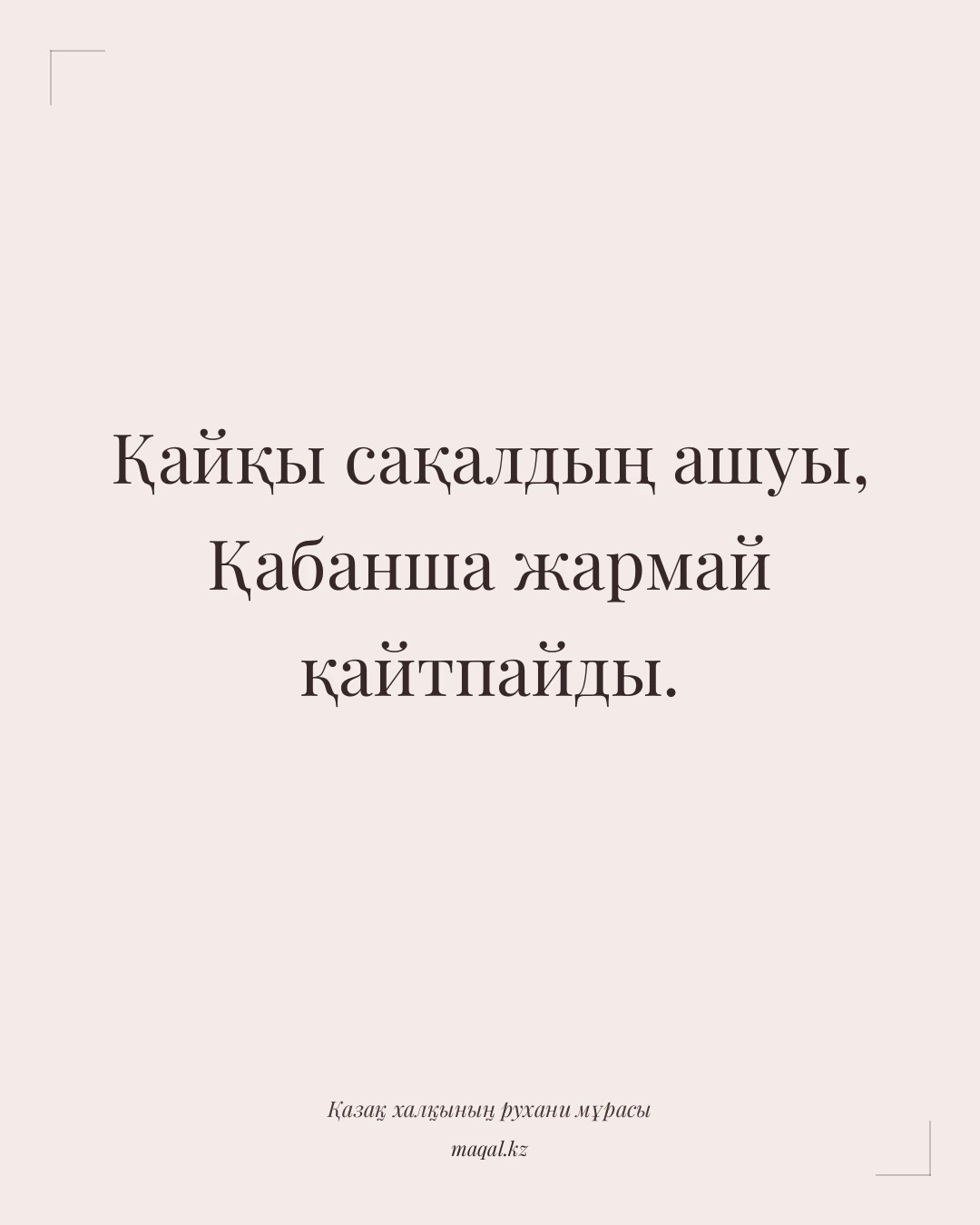 Қайқы сақалдың ашуы, Қабанша жармай қайтпайды. — қазақша мақал