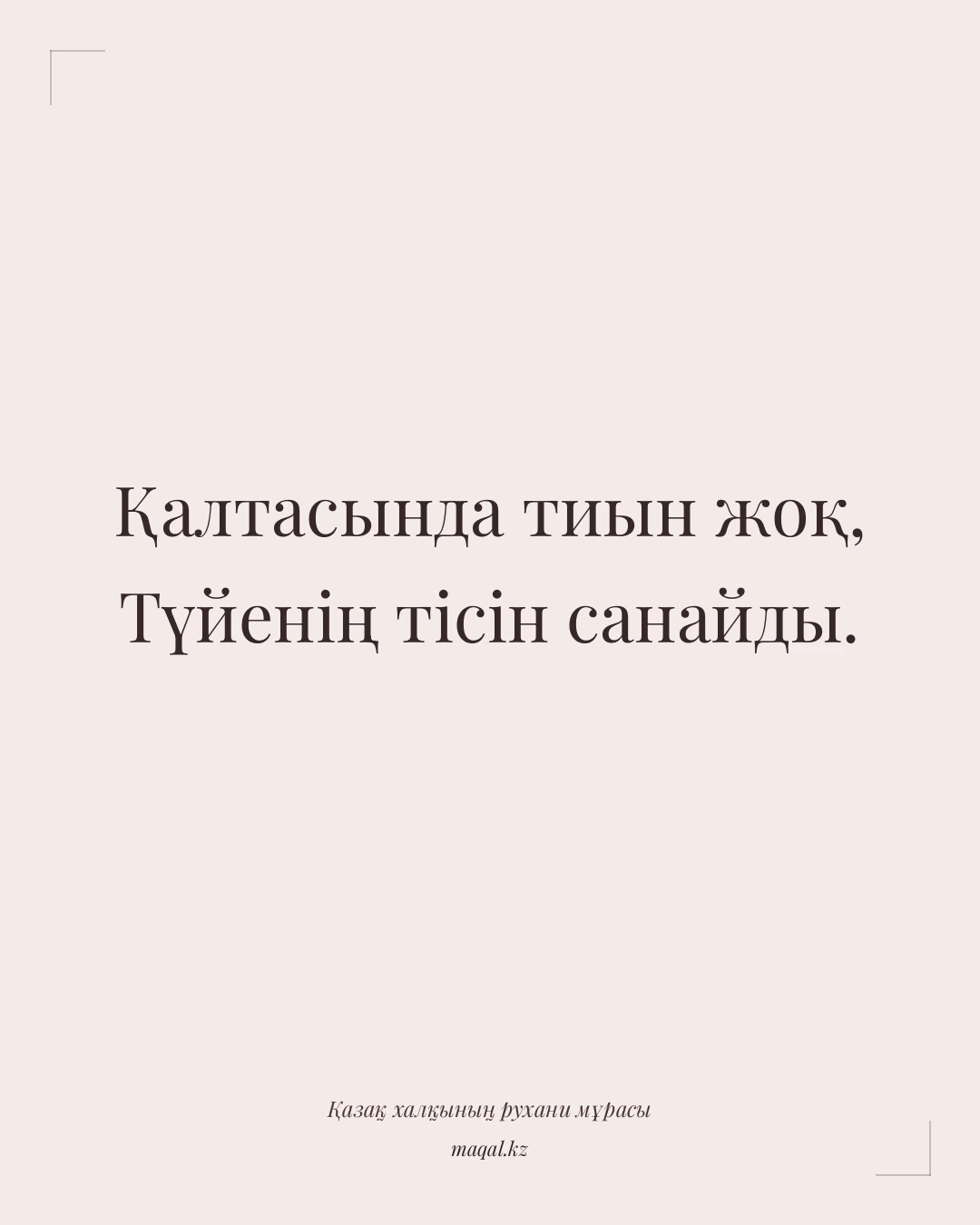 Қалтасында тиын жоқ, Түйенің тісін санайды. — қазақша мақал