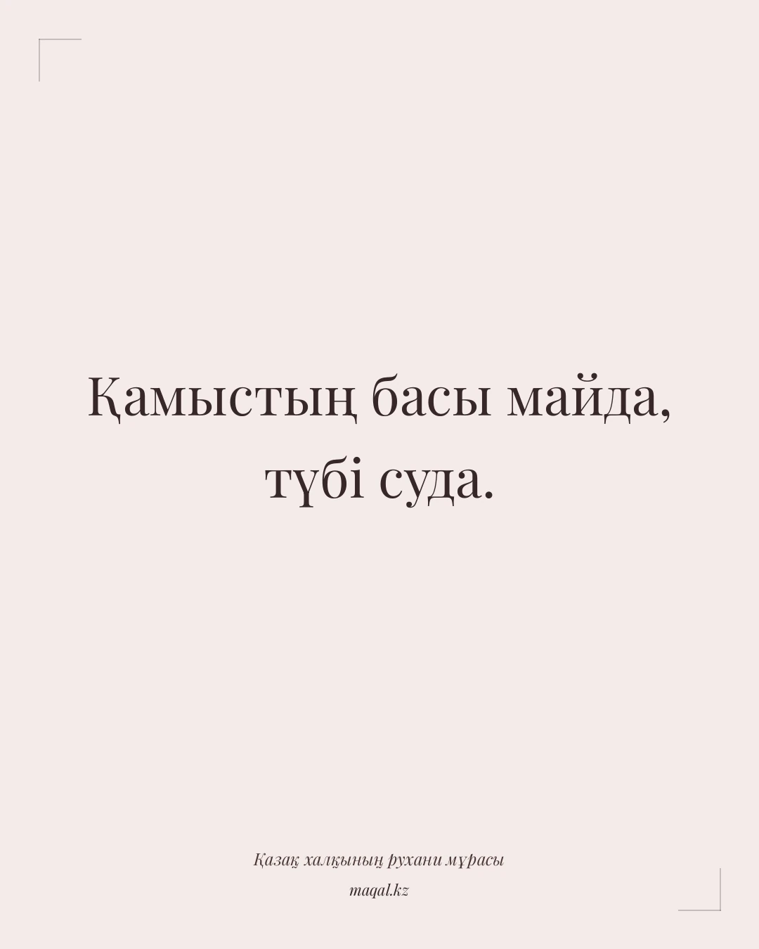 Қамыстың басы майда, түбі суда. — қазақша мақал