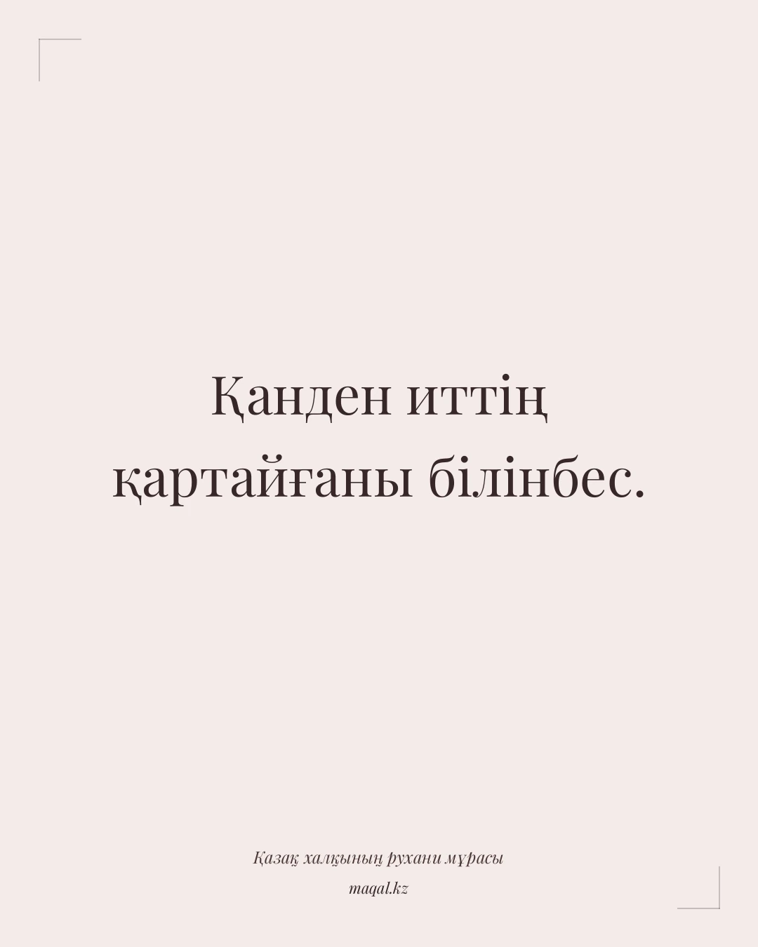 Қанден иттің қартайғаны білінбес. — қазақша мақал