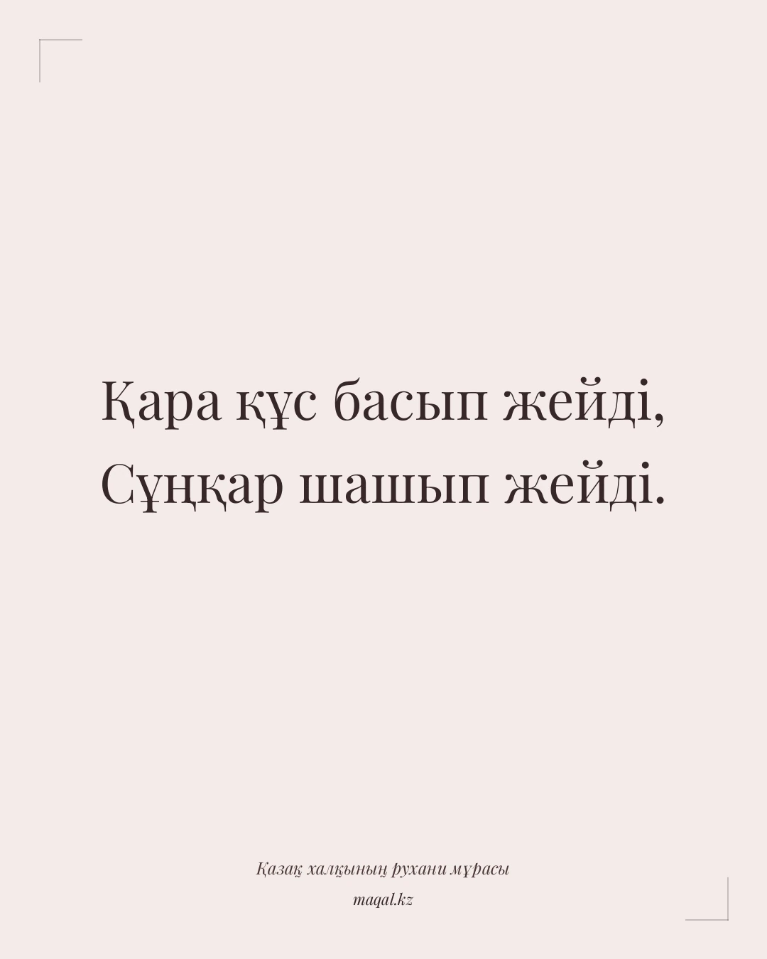 Қара құс басып жейді, Сұңқар шашып жейді. — қазақша мақал