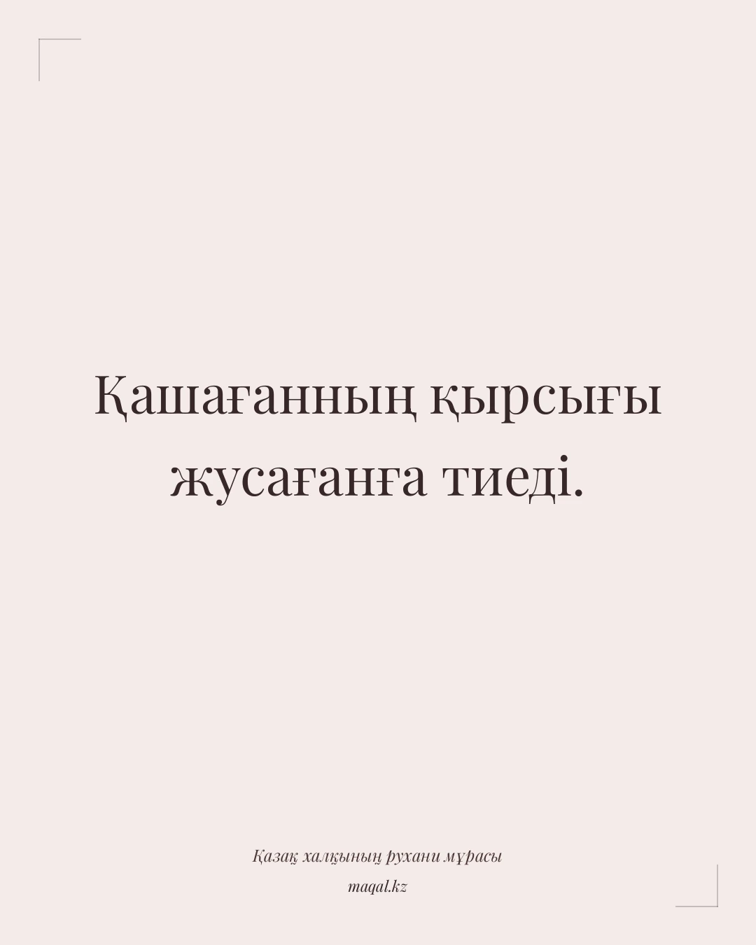 Қашағанның қырсығы жусағанға тиеді. — қазақша мақал