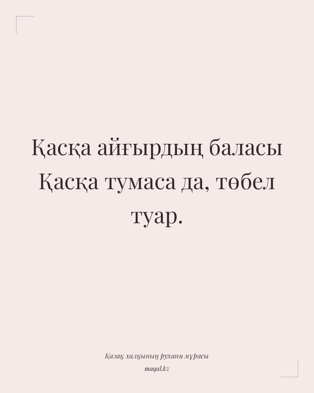 Қасқа айғырдың баласы Қасқа тумаса да, төбел туар. — қазақша мақал