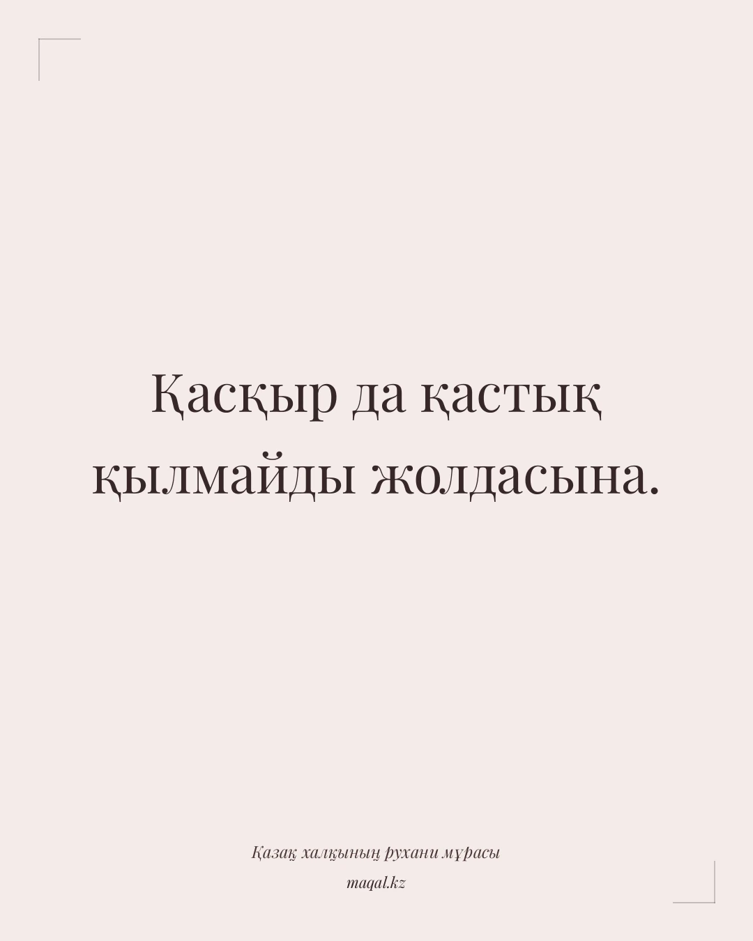 Қасқыр да қастық қылмайды жолдасына. — қазақша мақал