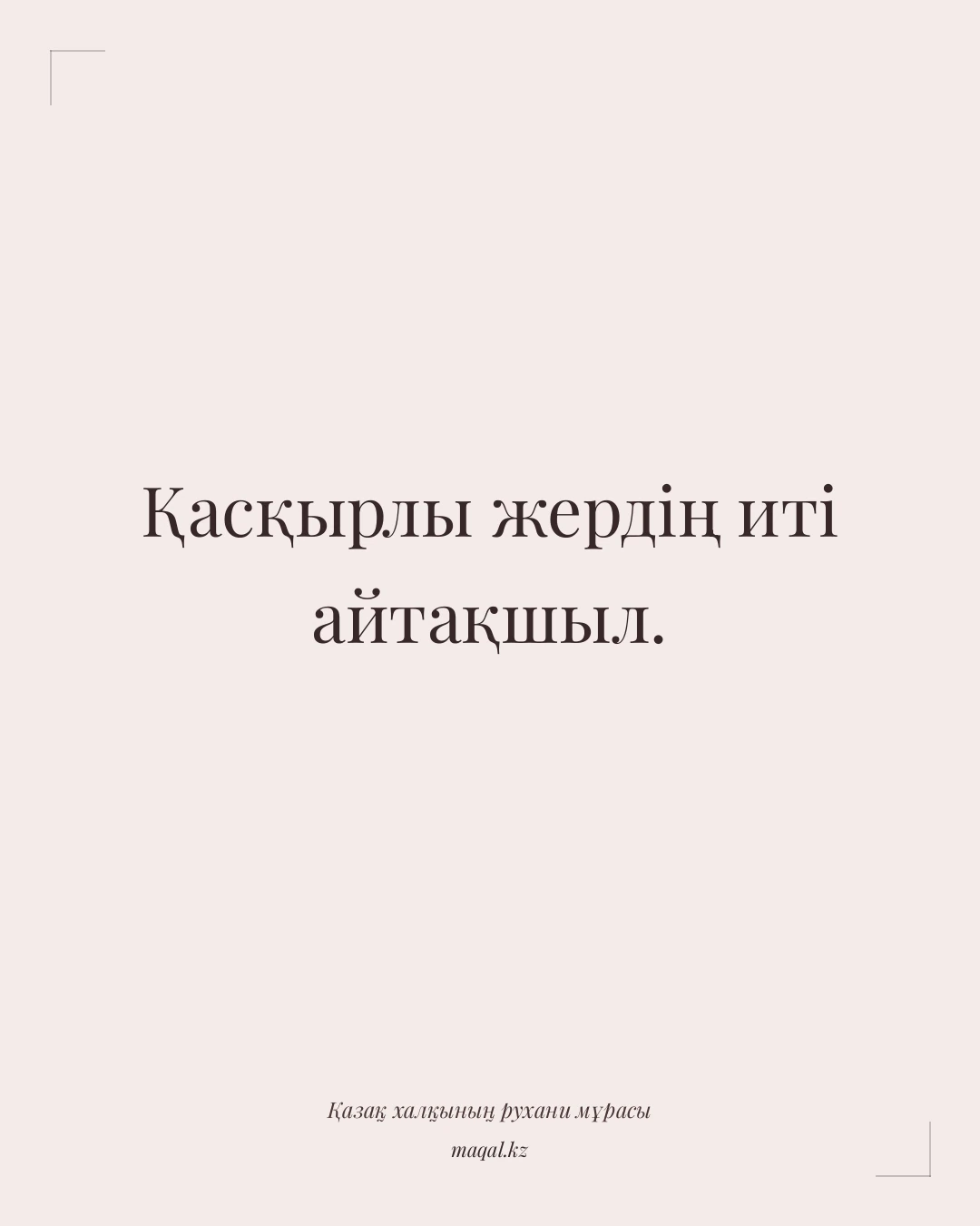 Қасқырлы жердің иті айтақшыл. — қазақша мақал
