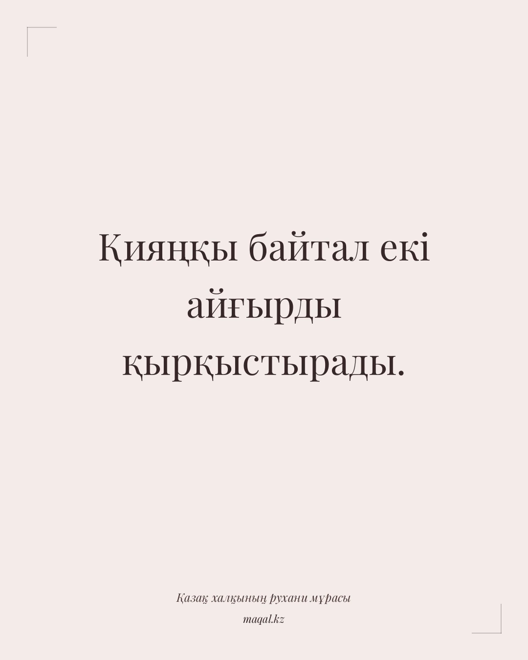 Қияңқы байтал екі айғырды қырқыстырады. — қазақша мақал