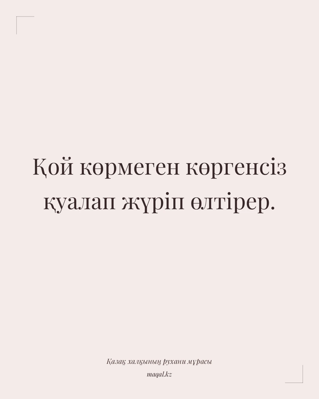 Қой көрмеген көргенсіз қуалап жүріп өлтірер. — қазақша мақал