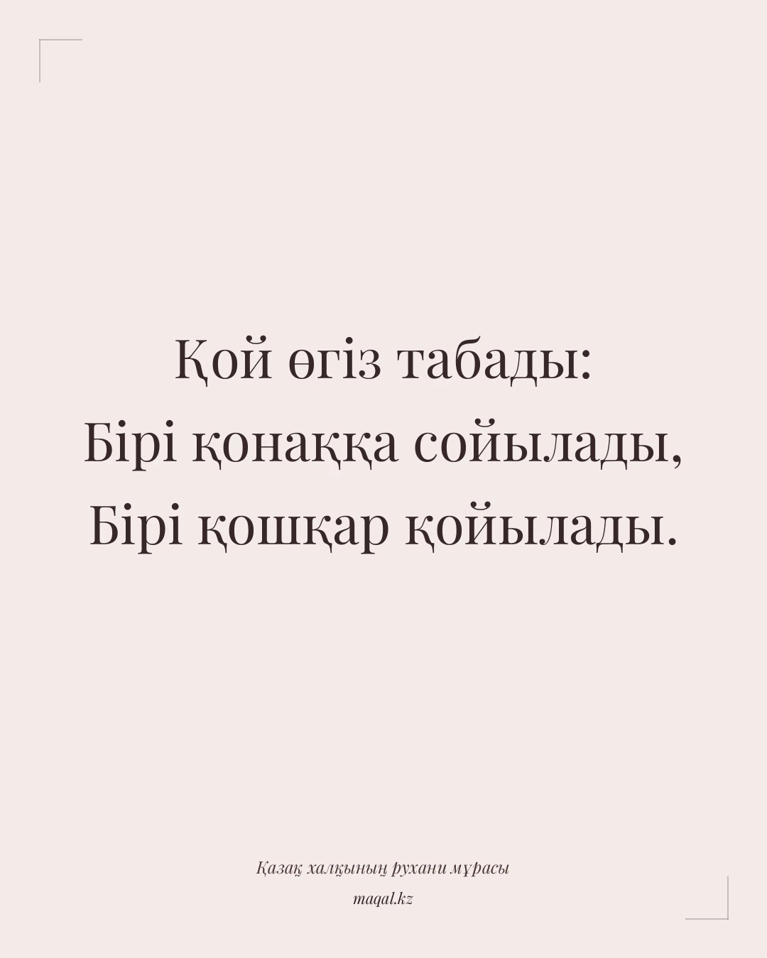 Қой өгіз табады: Бірі қонаққа сойылады, Бірі қошқар қойылады. — қазақша мақал