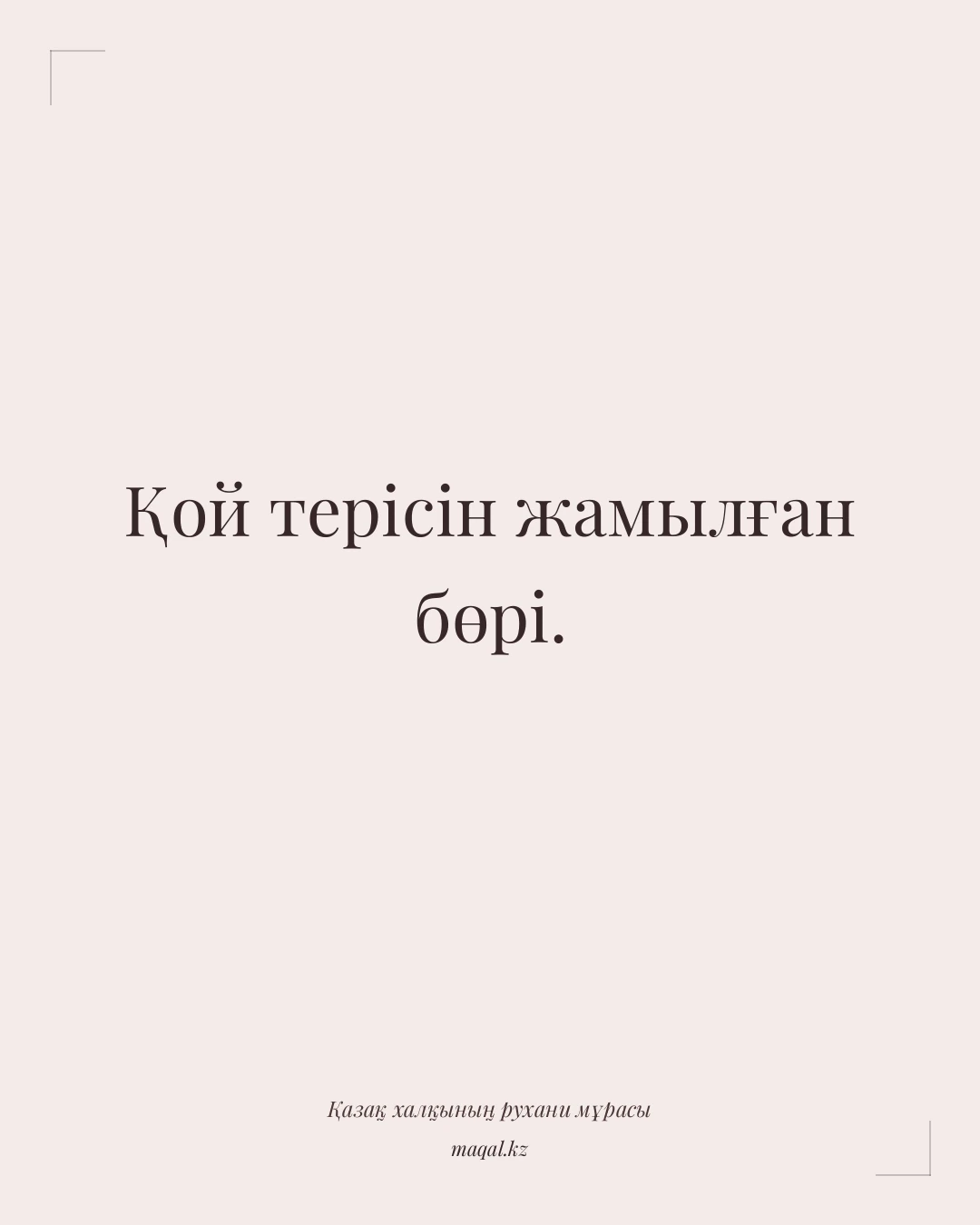 Қой терісін жамылған бөрі. — қазақша мақал