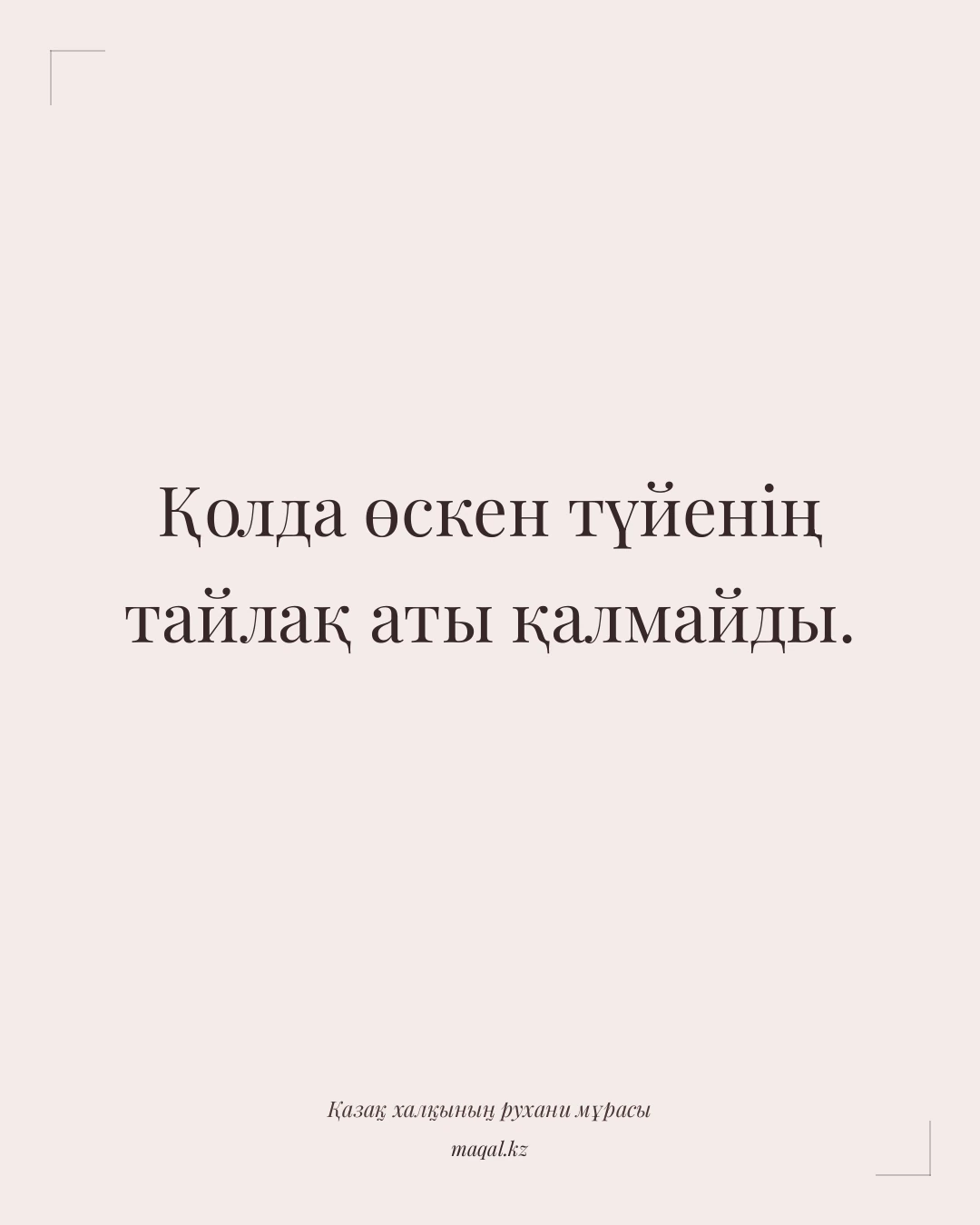 Қолда өскен түйенің тайлақ аты қалмайды. — қазақша мақал