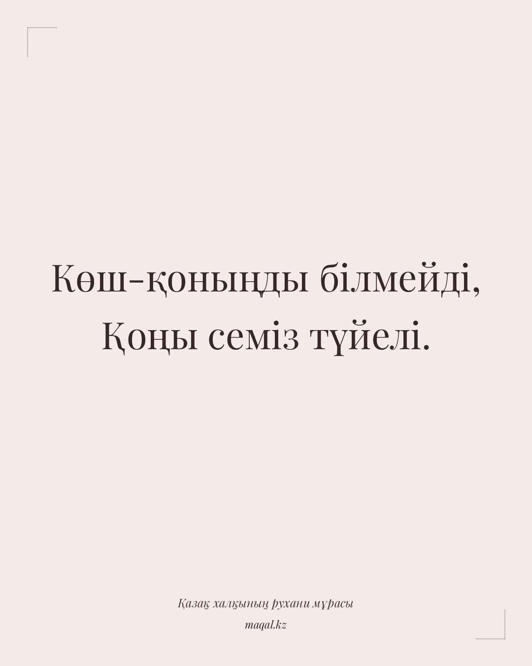 Көш-қоныңды білмейді, Қоңы семіз түйелі. — қазақша мақал