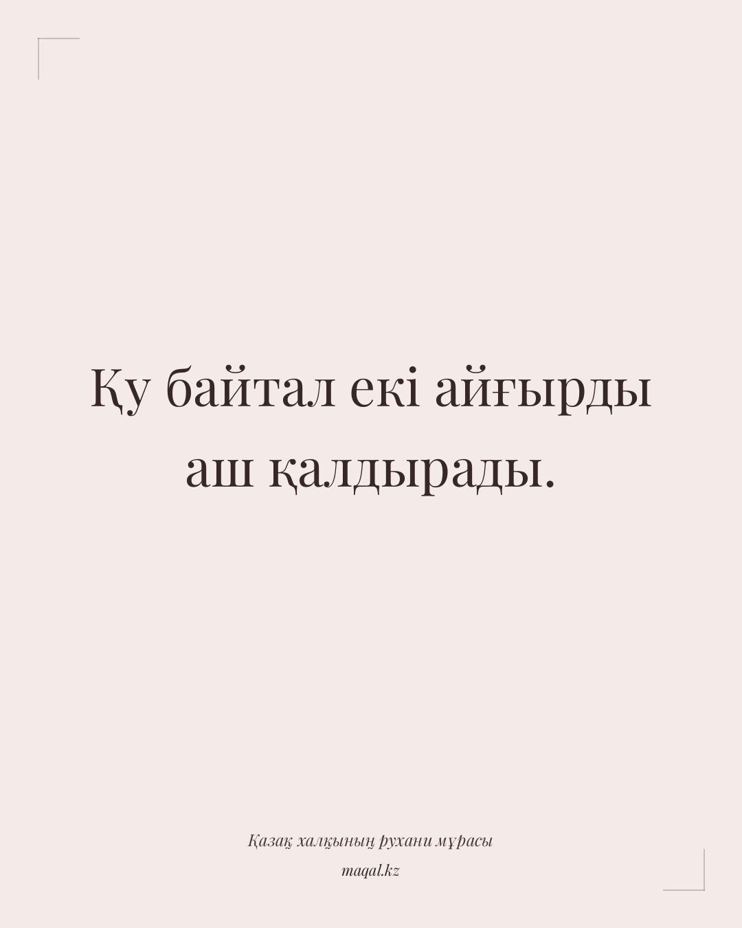 Қу байтал екі айғырды аш қалдырады. — қазақша мақал