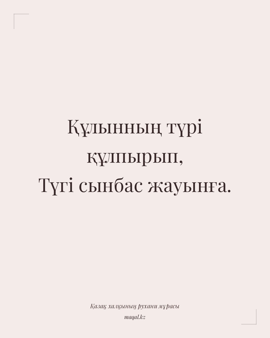 Құлынның түрі құлпырып, Түгі сынбас жауынға. — қазақша мақал
