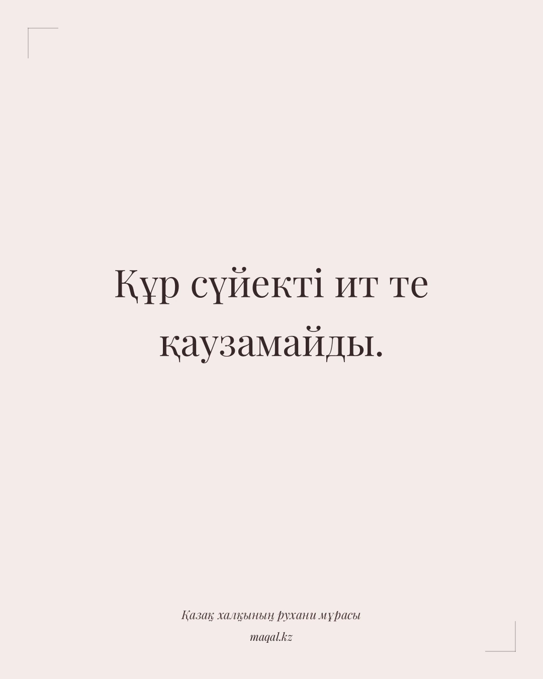 Құр сүйекті ит те қаузамайды. — қазақша мақал