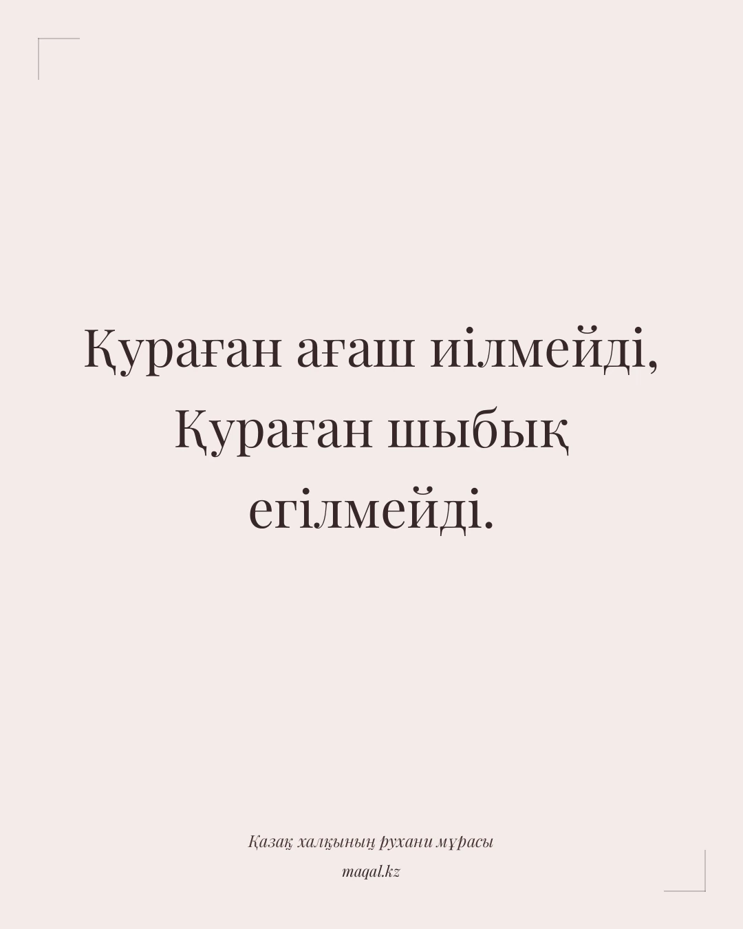 Қураған ағаш иілмейді, Қураған шыбық егілмейді. — қазақша мақал