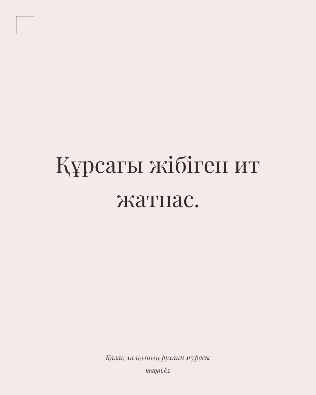 Құрсағы жібіген ит жатпас. — қазақша мақал