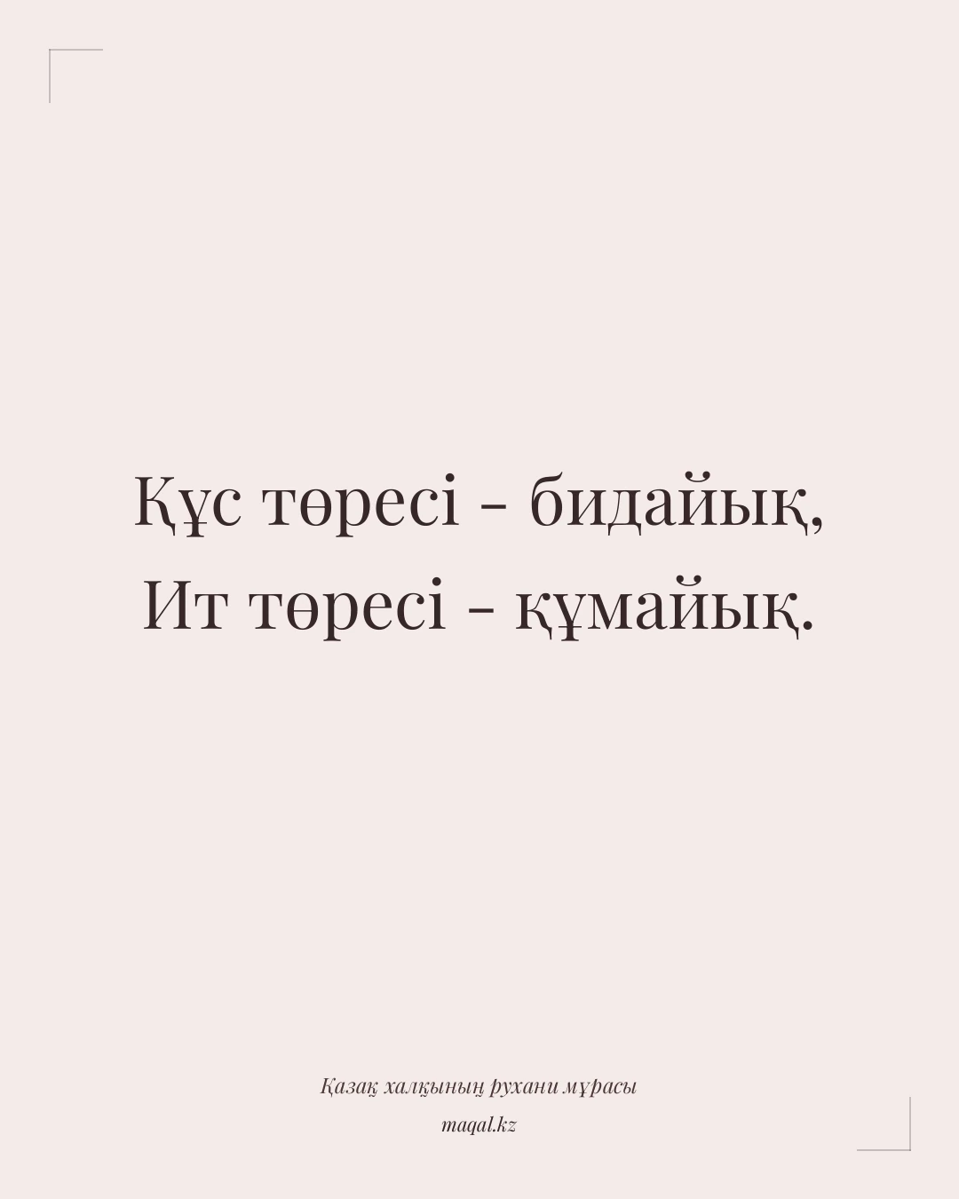 Құс төресі - бидайық, Ит төресі - құмайық. — қазақша мақал