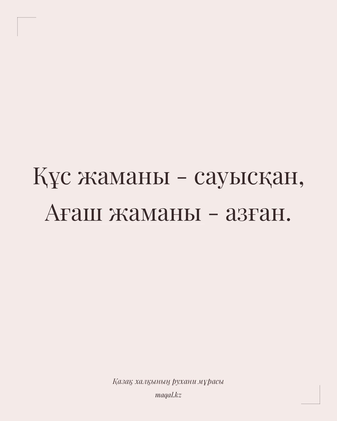 Құс жаманы - сауысқан, Ағаш жаманы - азған. — қазақша мақал