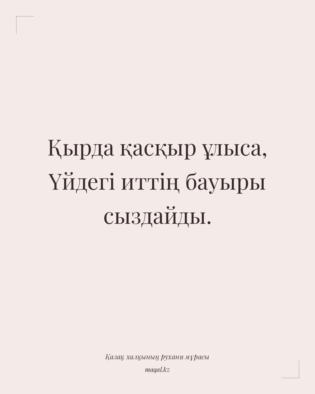 Қырда қасқыр ұлыса, Үйдегі иттің бауыры сыздайды. — қазақша мақал