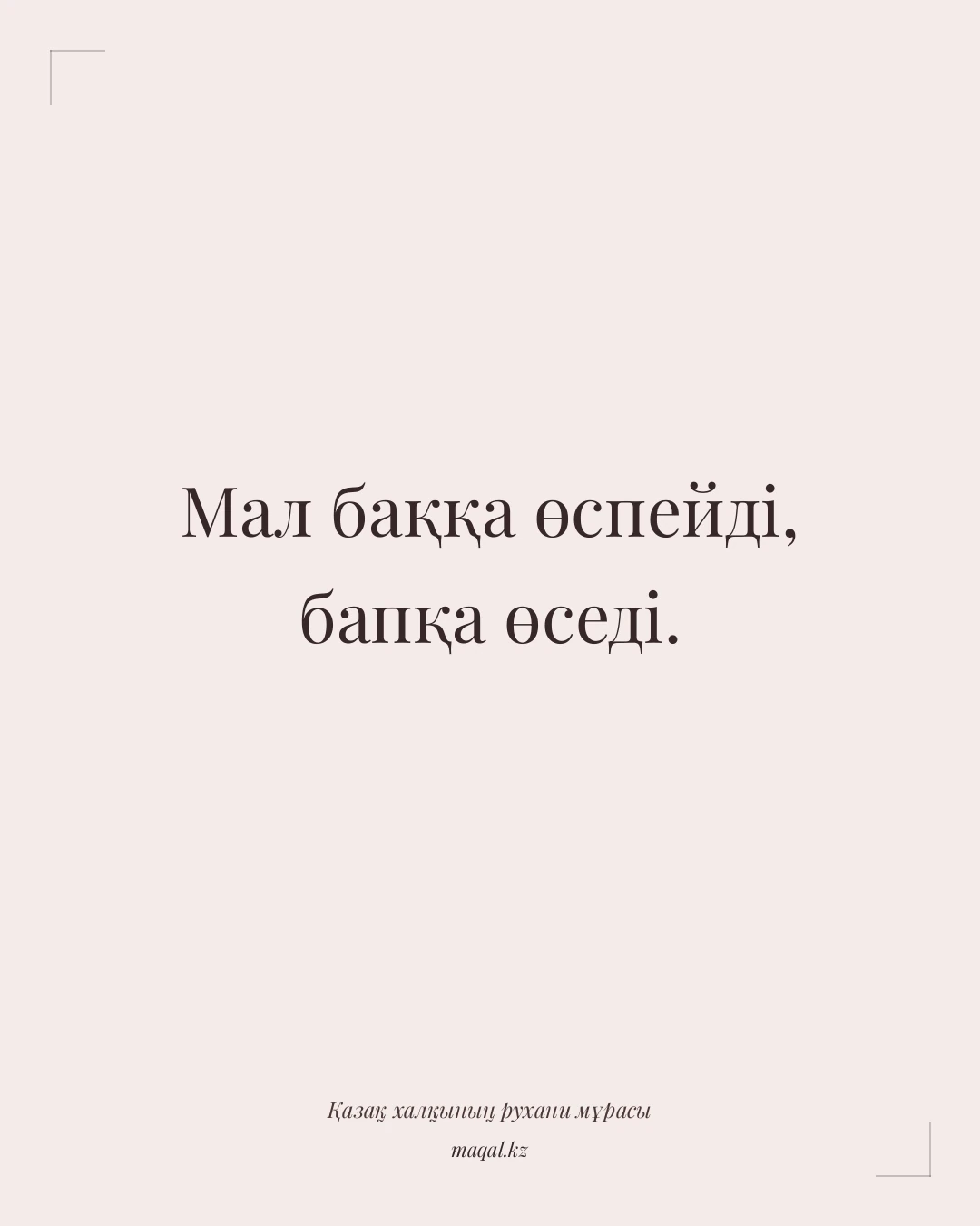 Мал баққа өспейді, бапқа өседі. — қазақша мақал