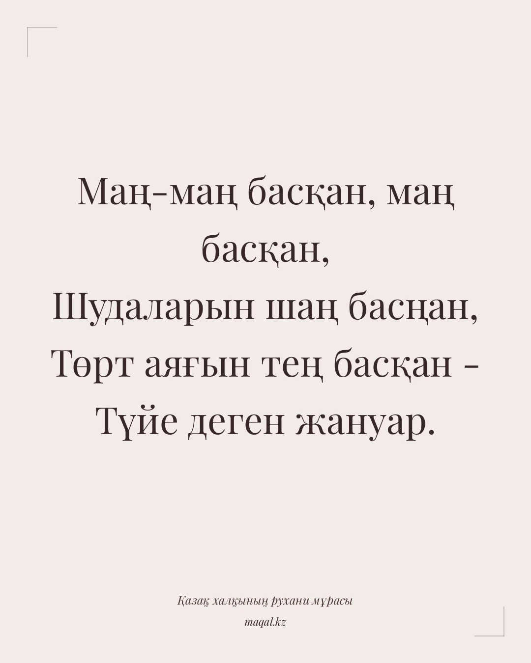 Маң-маң басқан, маң басқан, Шудаларын шаң басңан, Төрт аяғын тең басқан - Түйе деген жануар. — қазақша мақал
