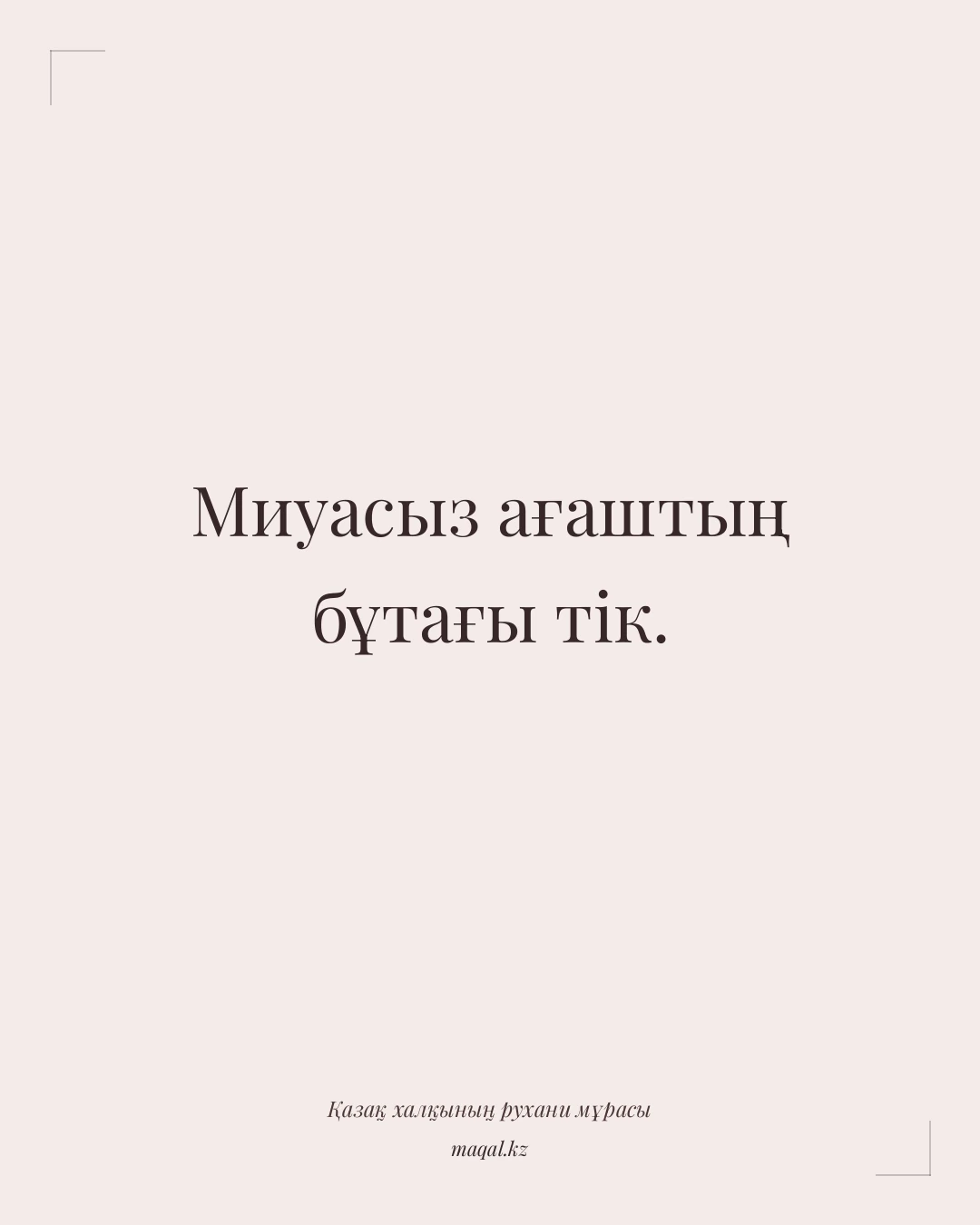 Миуасыз ағаштың бұтағы тік. — қазақша мақал