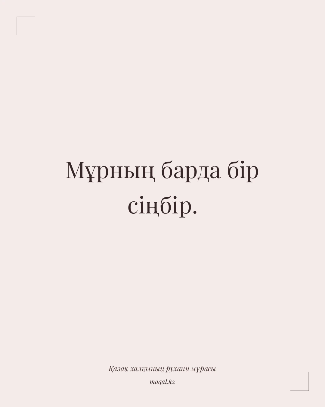 Мұрның барда бір сіңбір. — қазақша мақал