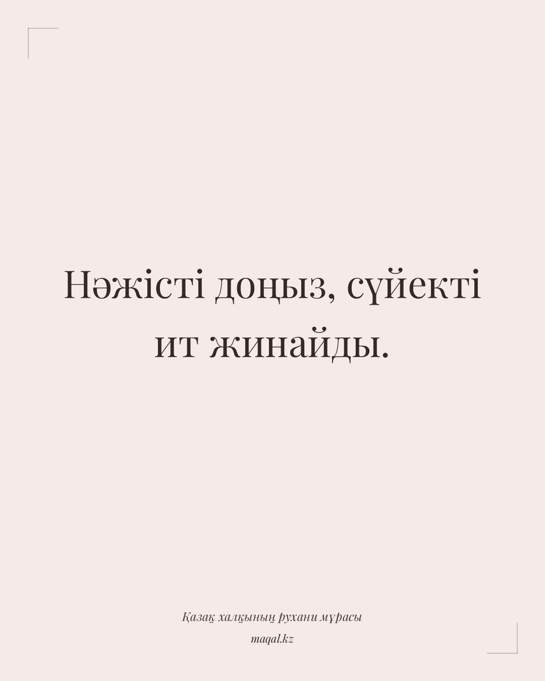 Нәжісті доңыз, сүйекті ит жинайды. — қазақша мақал