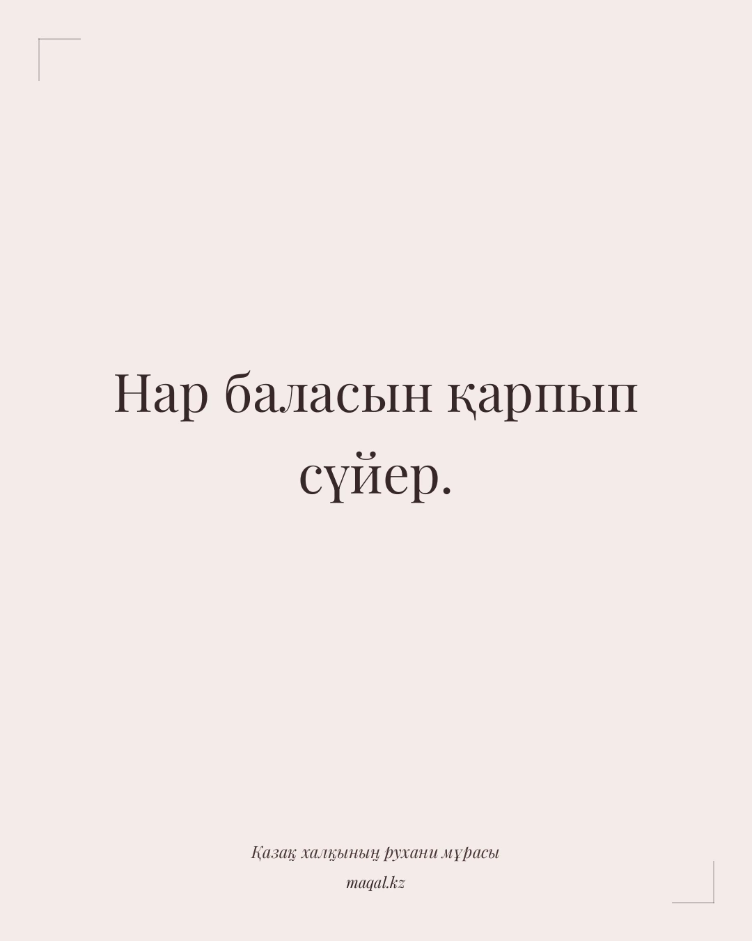 Нар баласын қарпып сүйер. — қазақша мақал