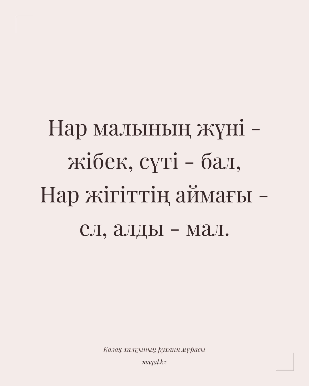 Нар малының жүні - жібек, сүті - бал, Нар жігіттің аймағы - ел, алды - мал. — қазақша мақал