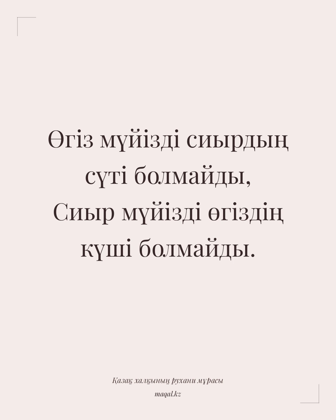 Өгіз мүйізді сиырдың сүті болмайды, Сиыр мүйізді өгіздің күші болмайды. — қазақша мақал