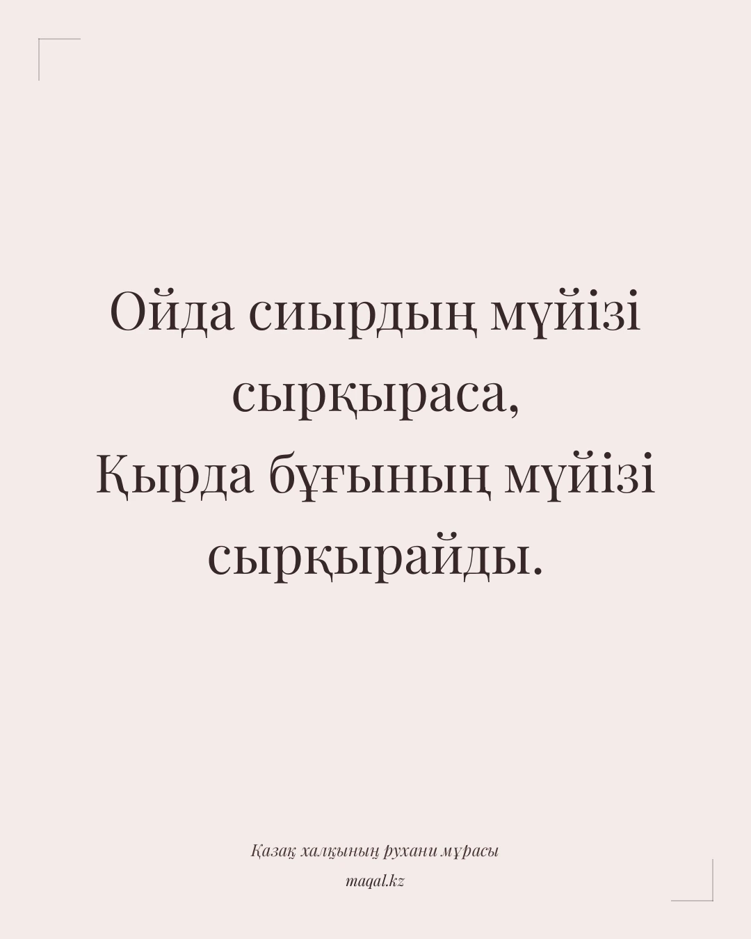 Ойда сиырдың мүйізі сырқыраса, Қырда бұғының мүйізі сырқырайды. — қазақша мақал