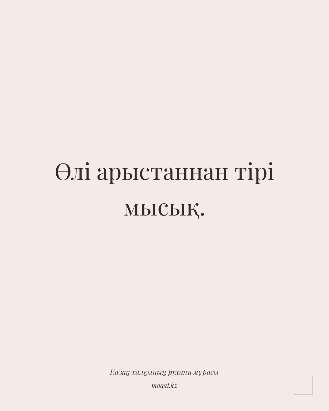 Өлі арыстаннан тірі мысық. — қазақша мақал