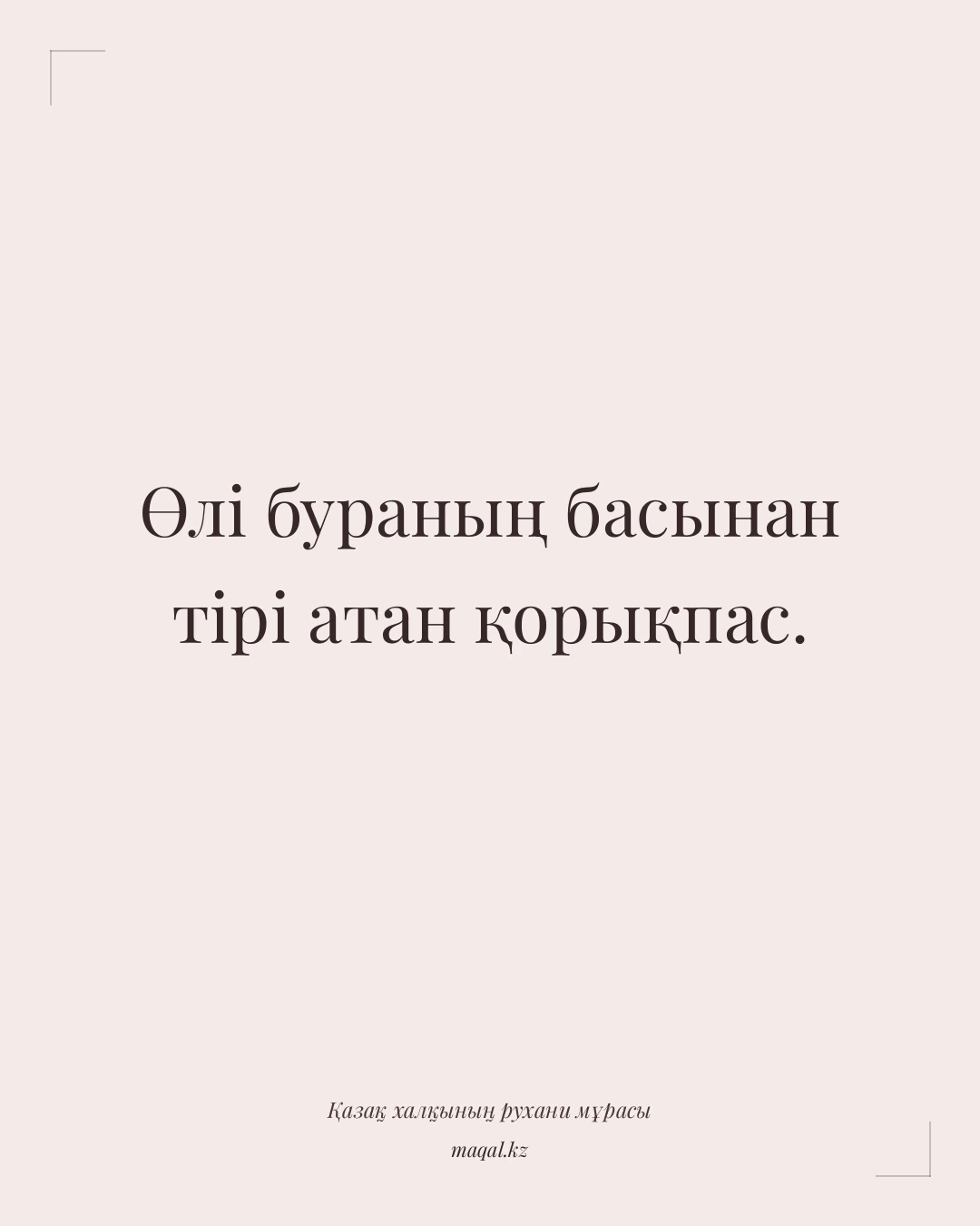 Өлі бураның басынан тірі атан қорықпас. — қазақша мақал