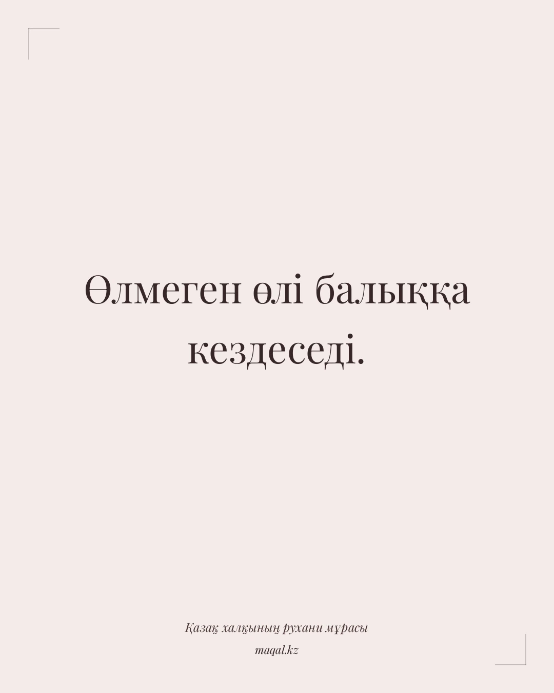 Өлмеген өлі балыққа кездеседі. — қазақша мақал
