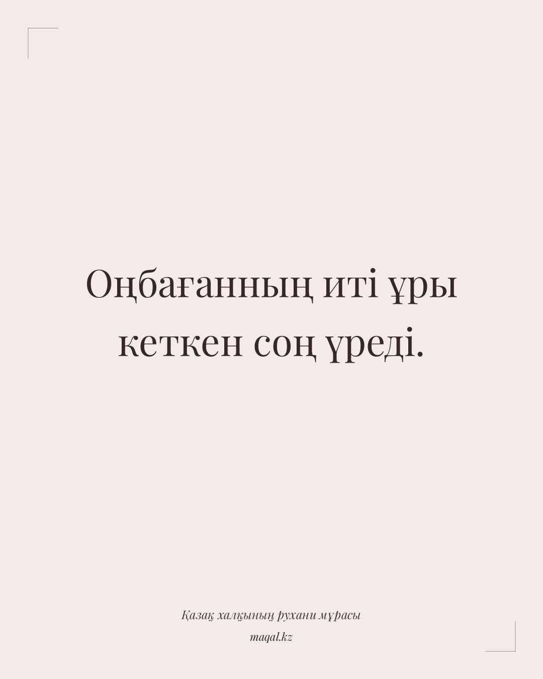 Оңбағанның иті ұры кеткен соң үреді. — қазақша мақал