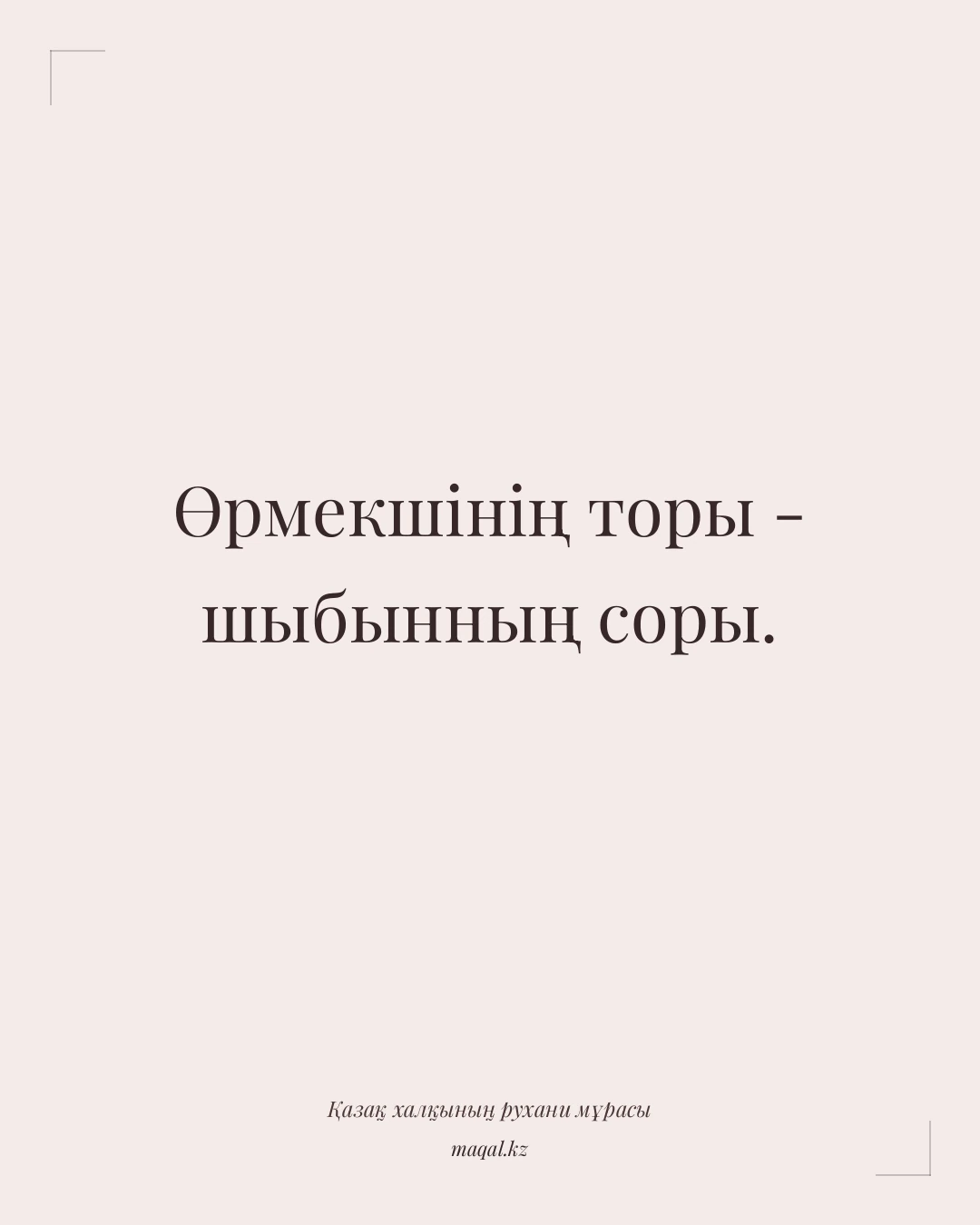 Өрмекшінің торы - шыбынның соры. — қазақша мақал