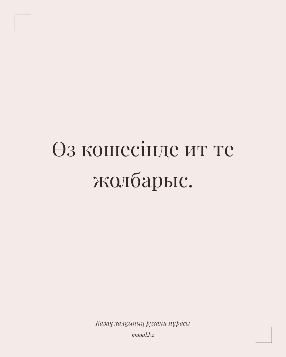 Өз көшесінде ит те жолбарыс. — қазақша мақал