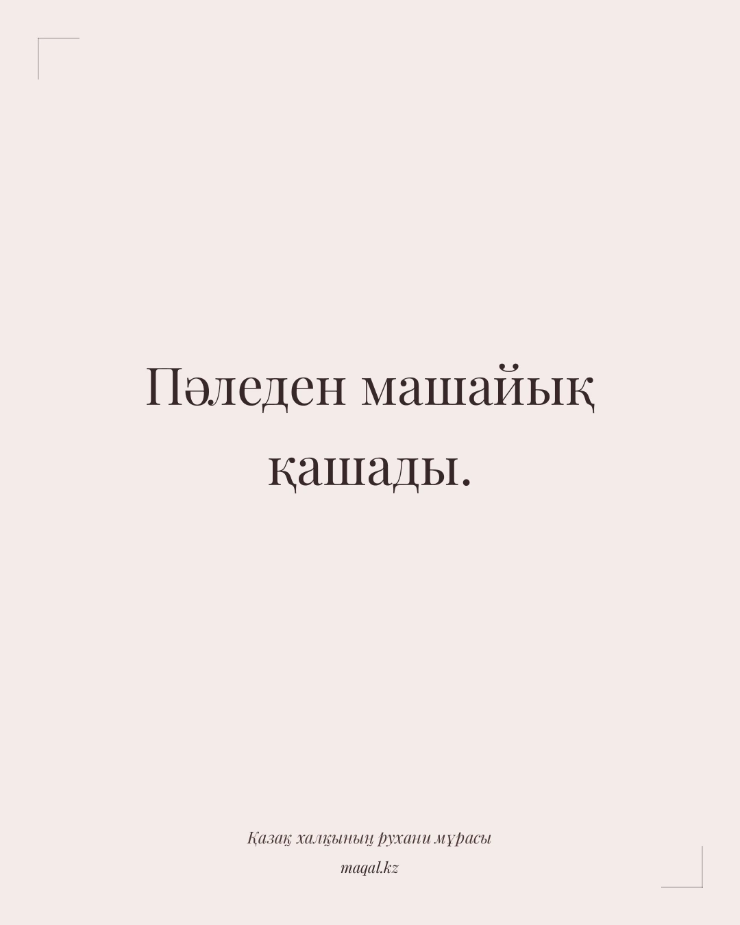 Пәледен машайық қашады. — қазақша мақал