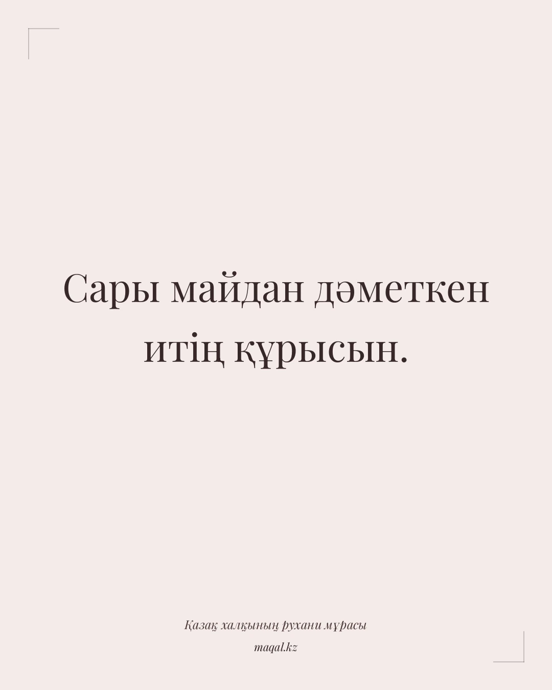 Сары майдан дәметкен итің құрысын. — қазақша мақал