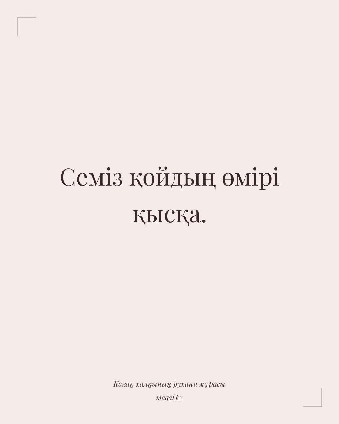 Семіз қойдың өмірі қысқа. — қазақша мақал