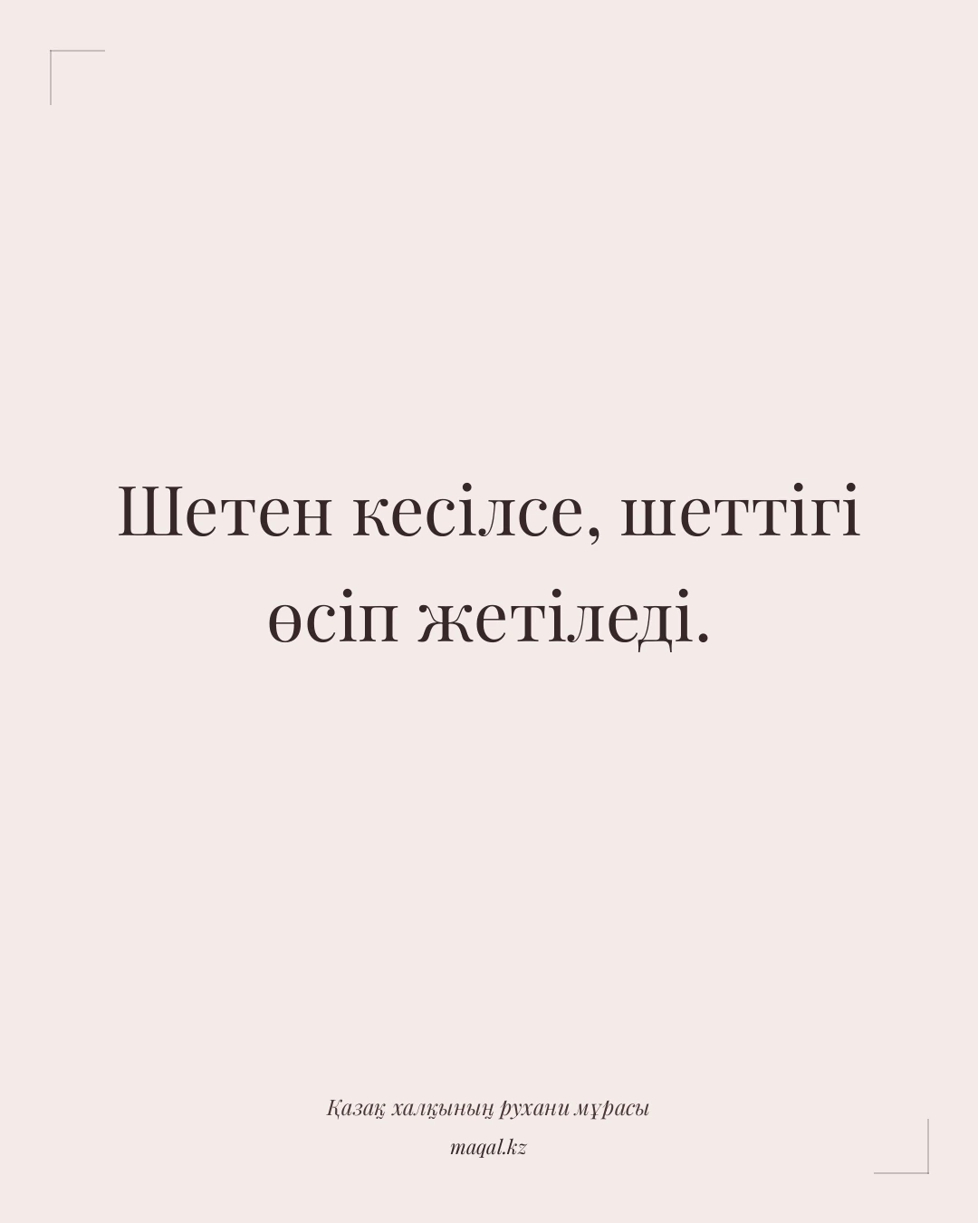 Шетен кесілсе, шеттігі өсіп жетіледі. — қазақша мақал
